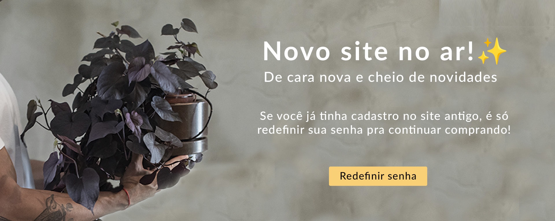 Lorem ipsum dolor amet