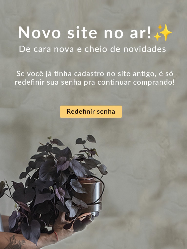 Lorem ipsum dolor amet