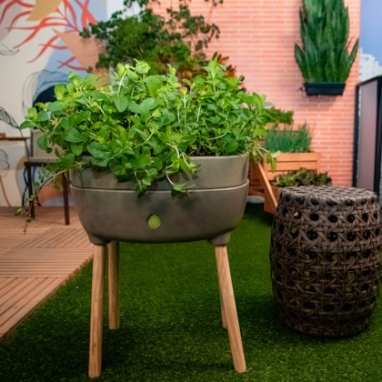 Produto imagem principal - fac3fdb6-a542-434a-9cc7-77cffef027e5