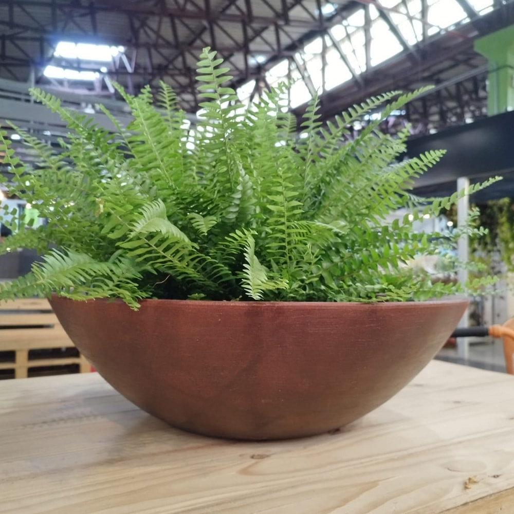 Produto imagem principal - 2e57381d-cdfb-424a-8a99-d1df32986c6a