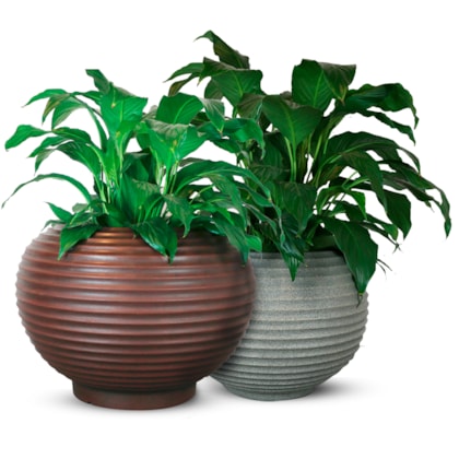 Produto imagem principal - 711ddfdf-a80f-47c3-bb2c-a18a212f95e2