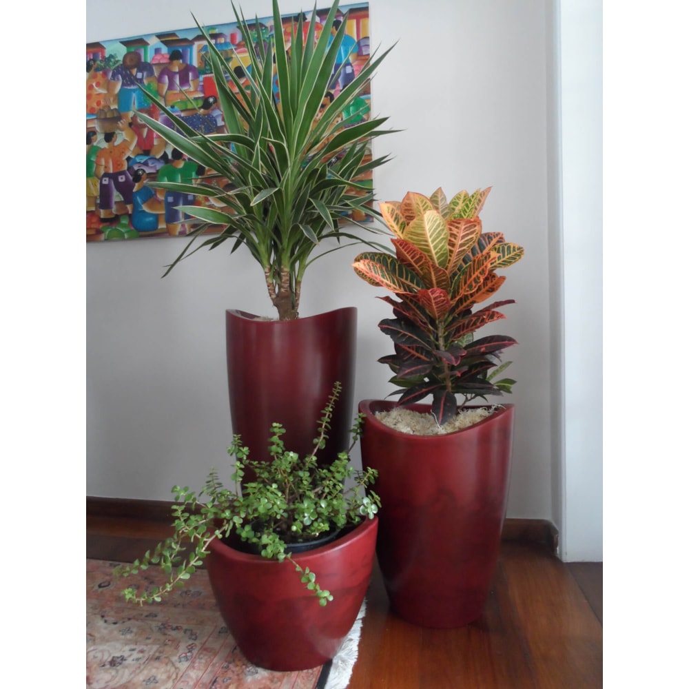 Produto imagem principal - b7eb55ce-e7a7-4d50-b8db-28c8bd945bf0