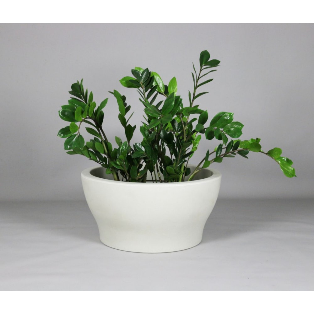 Produto imagem principal - f11fca36-fb7b-4d62-af0f-d67d1e6aed35