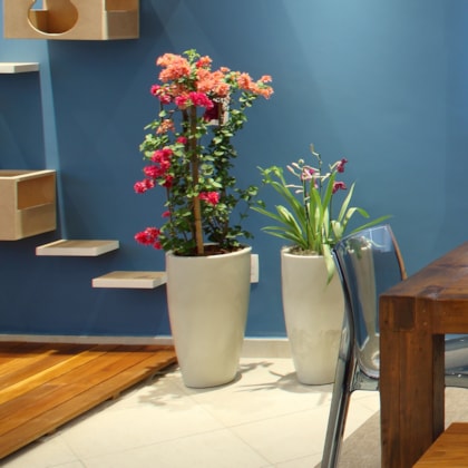 Produto imagem principal - 05e05d83-e6fc-48cd-b406-0bf00e714ff0