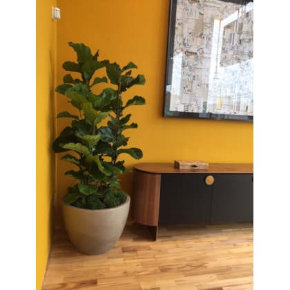 Produto imagem principal - 0ef3d29c-e5bb-40fd-93d7-214deeb95a28