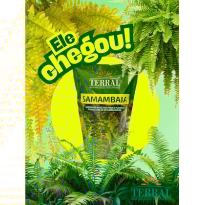 Produto imagem principal - f87e34cc-b873-434c-8c92-f082da288972