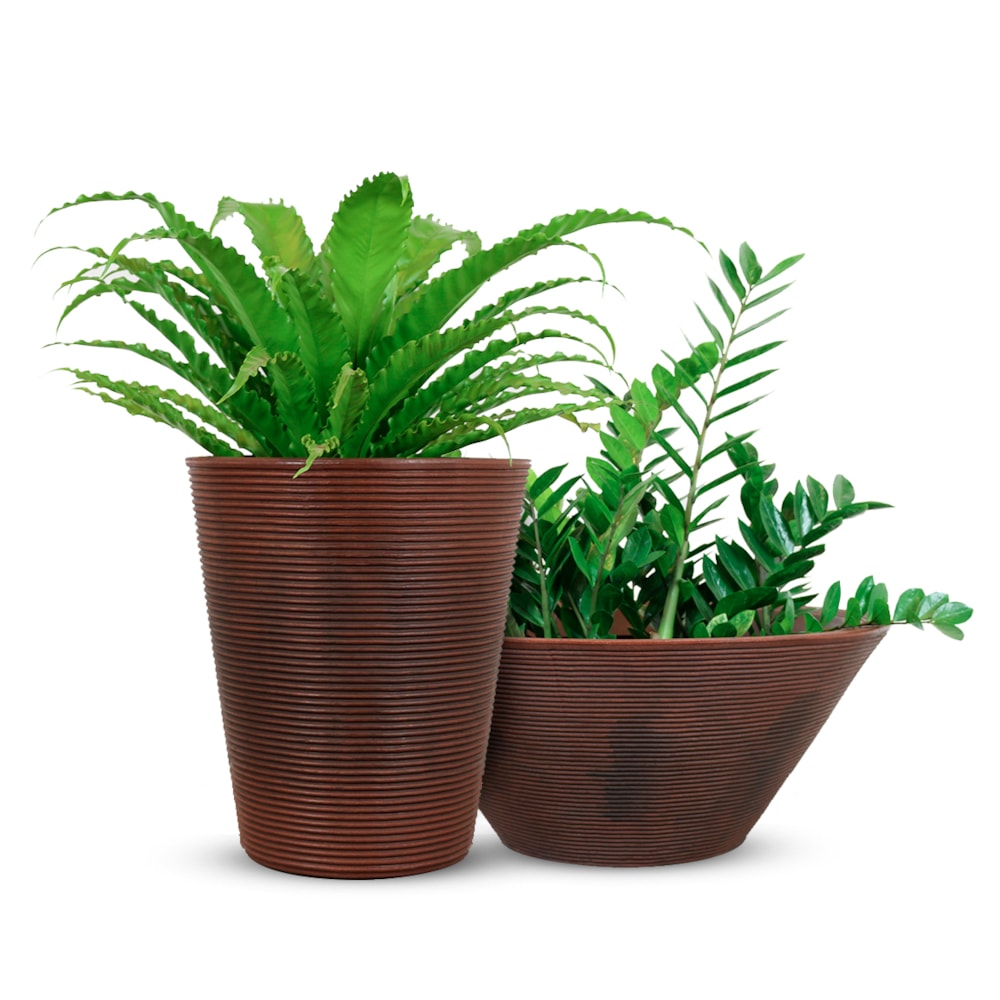 Produto imagem principal - e3695377-b0de-4671-96f3-733937692432