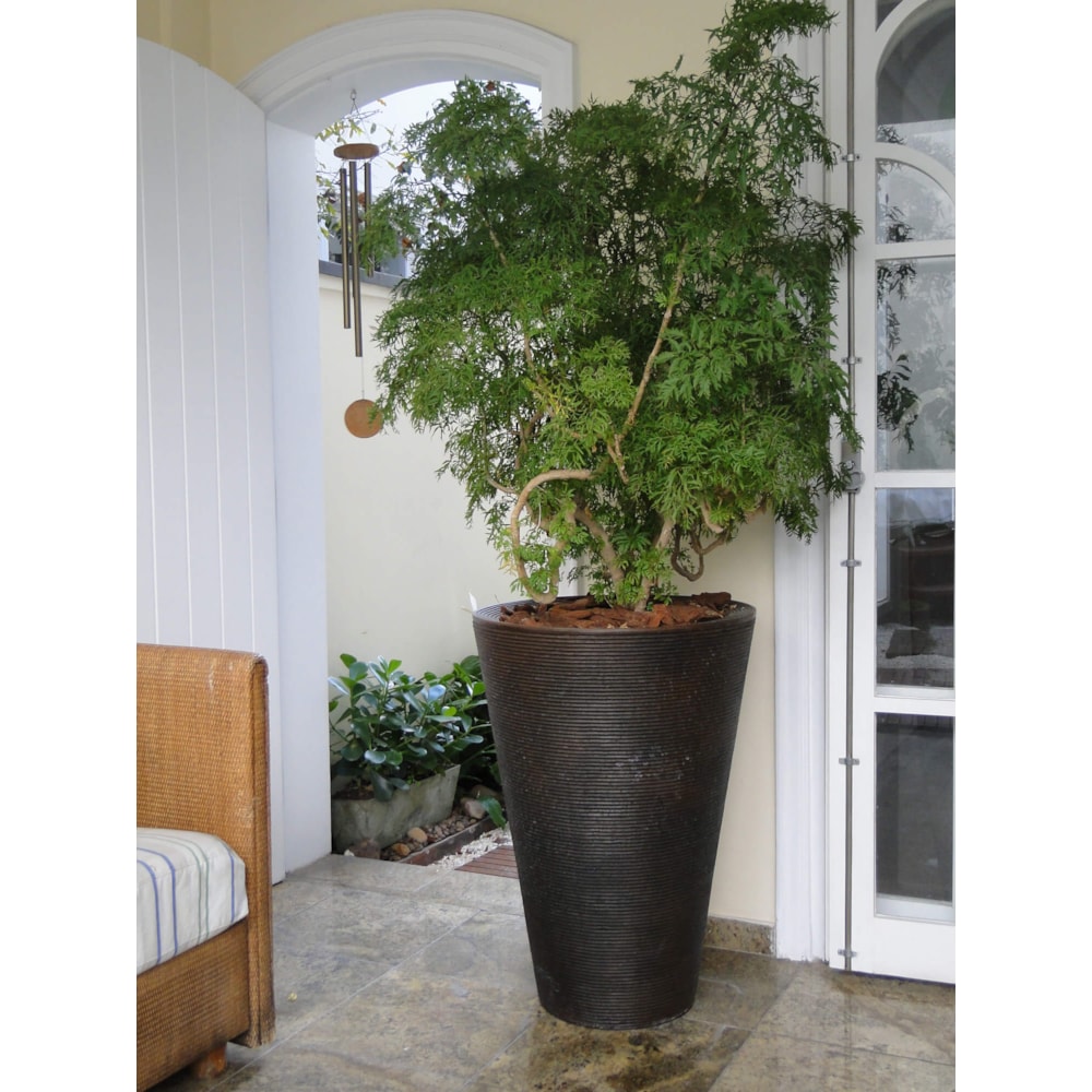Produto imagem principal - 7bccc51d-bfc6-42a7-a58f-4217dfb07a62