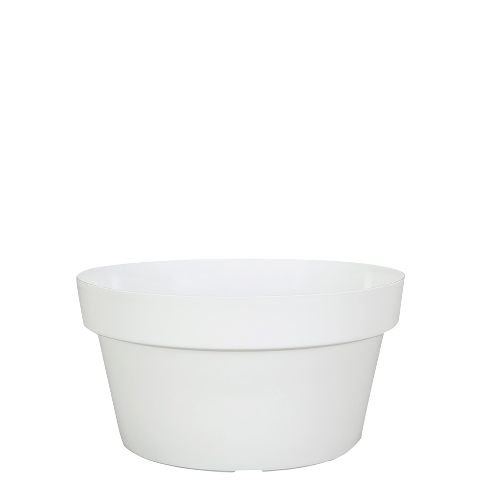 Produto imagem principal - 4518c136-ff6f-4a70-b9aa-1ef546ea6aaf