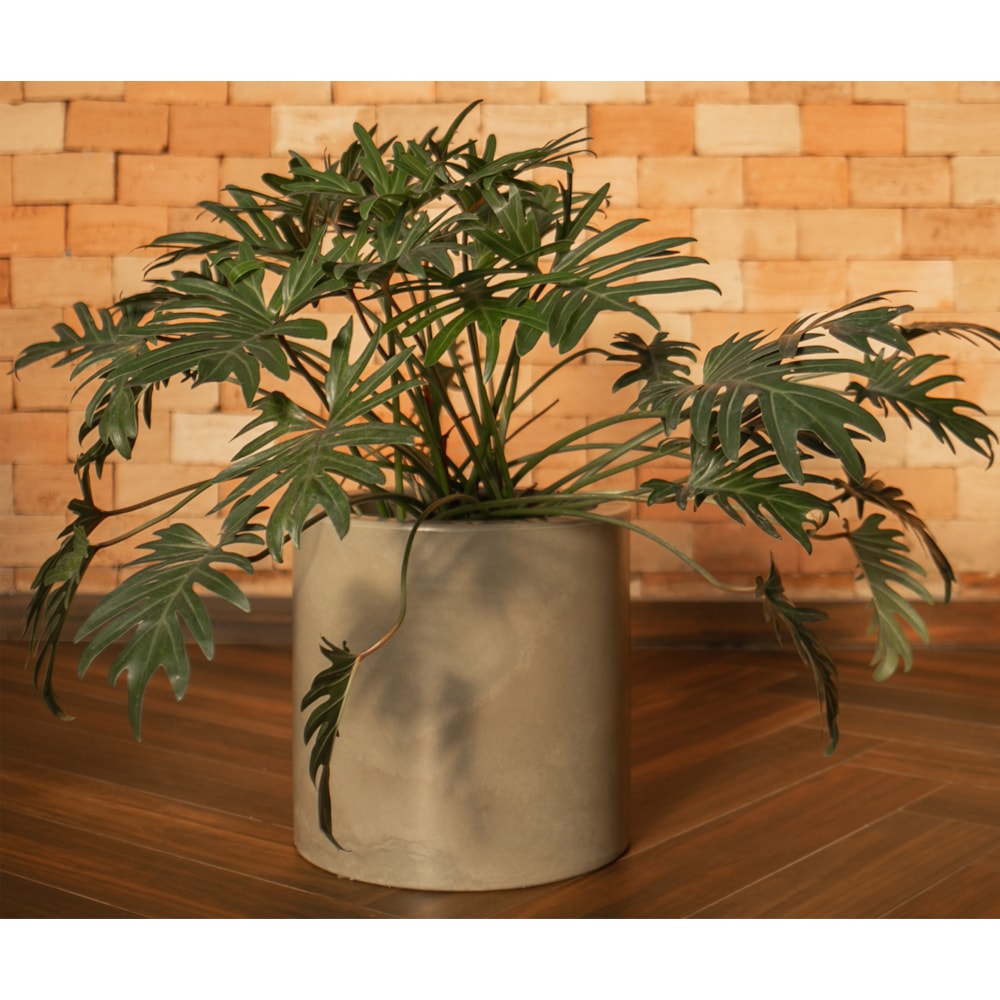 Produto imagem principal - e14ce683-1db9-4604-8580-5cbcd8d3e4e3