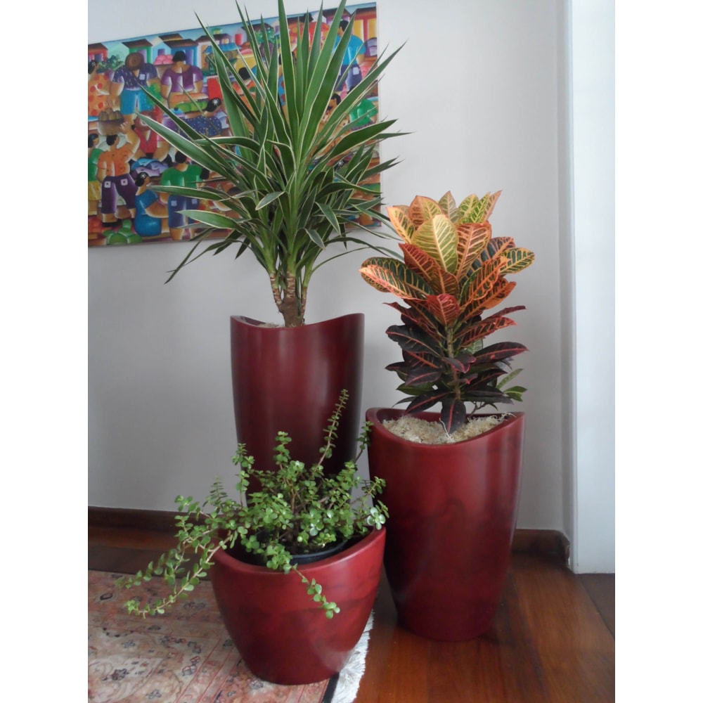 Produto imagem principal - 22123372-b845-4415-8b5b-c9933e5f38ec