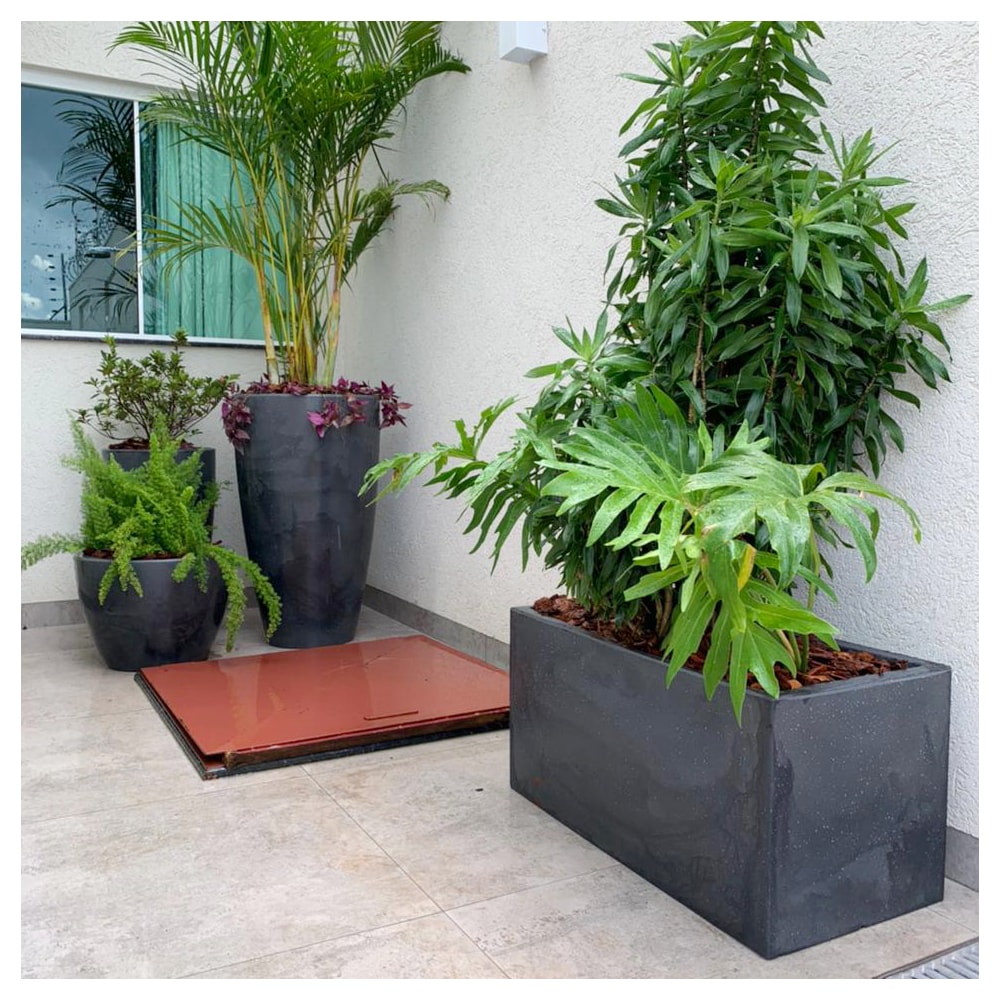 Produto imagem principal - 4b10c4b0-2127-4482-b302-b2c4125a6e45