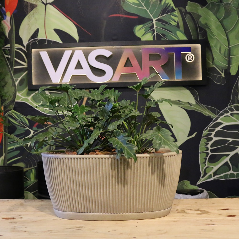 Produto imagem principal - f4092d8e-910c-4875-ab56-b3e03a3d4500