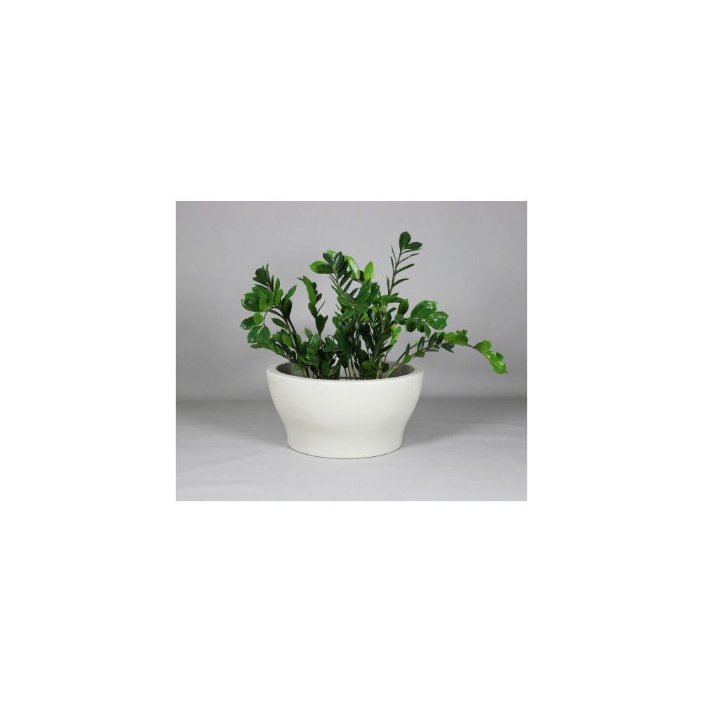 Produto imagem principal - 666ac799-8cfb-4368-8234-8c5bd272fe65