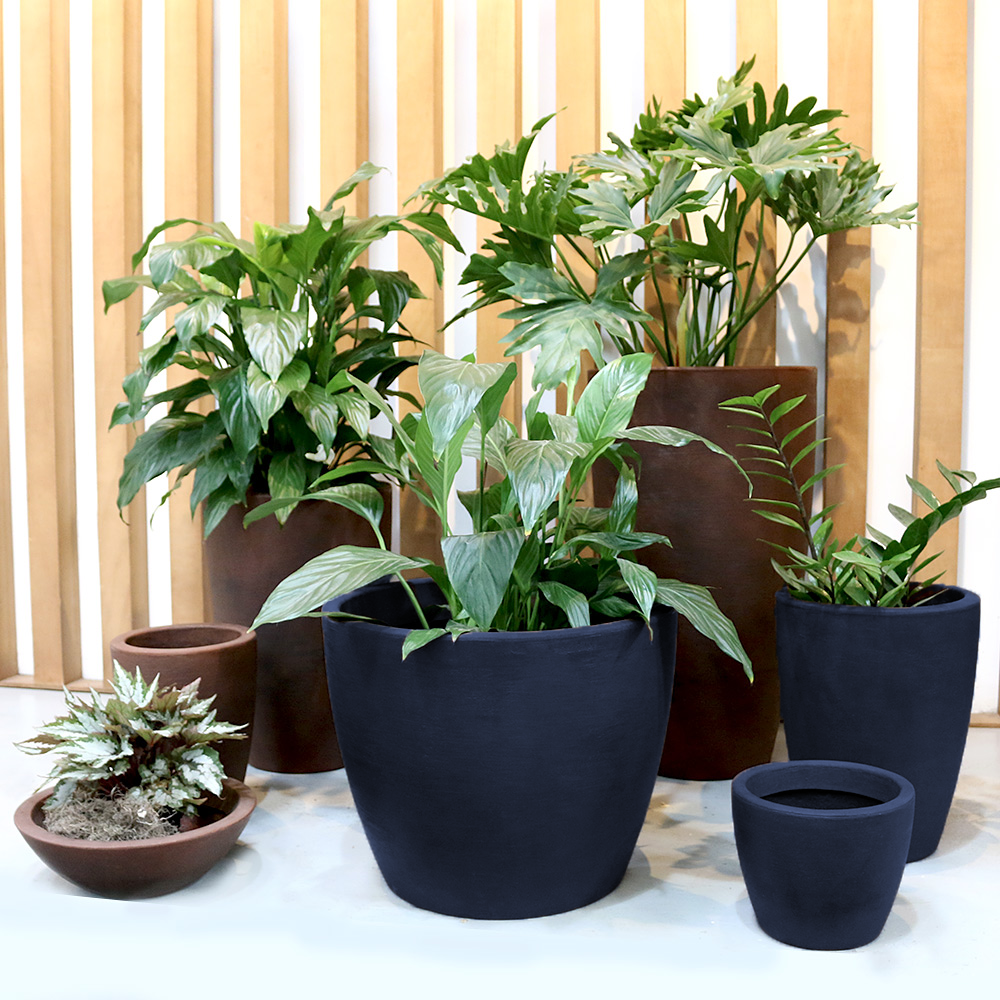 Produto imagem principal - 54408560-38c3-473e-a3d7-d02b27736e66