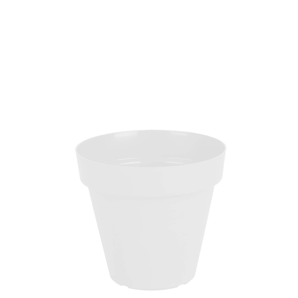 Produto imagem principal - 41571eb0-3c2c-44e8-b5cc-54b4c20e4ed6