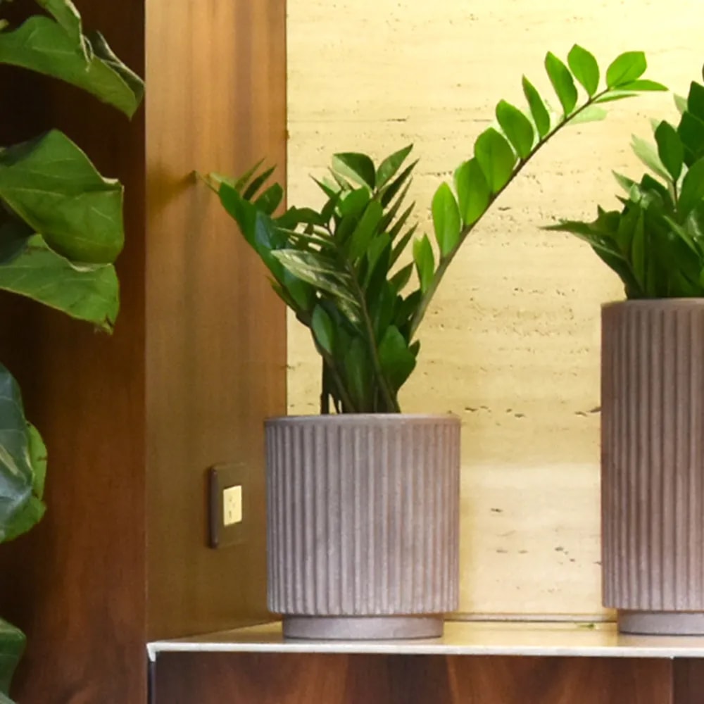 Produto imagem principal - 98d43eda-0202-4e28-863d-dfbd38779369