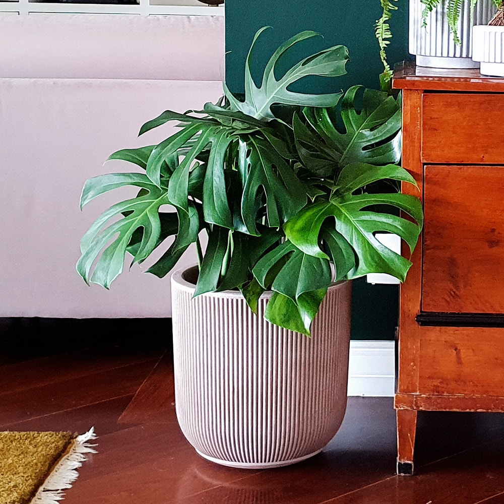 Produto imagem principal - 0880c334-9489-48c5-80ff-60e1e0862003