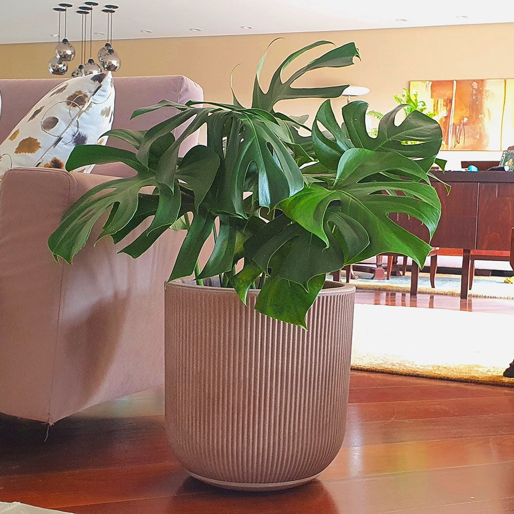 Produto imagem principal - fb49d975-777b-4e3b-b95d-9d84daf7e194