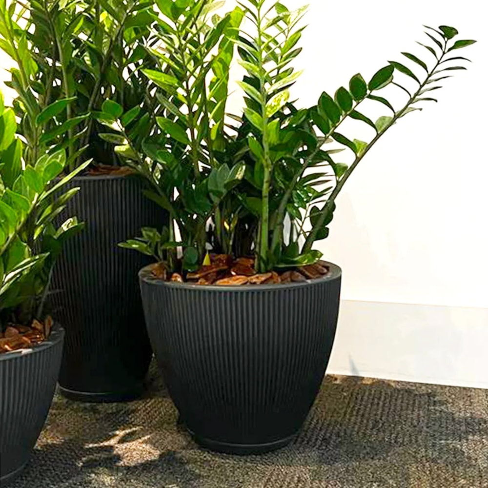 Produto imagem principal - 7bb72725-1fce-437d-9734-1402d6ea9ec3