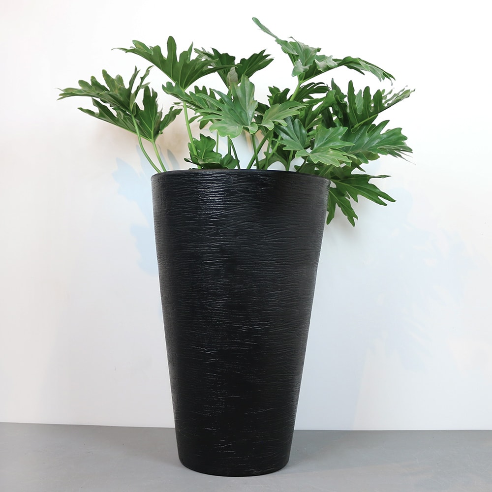 Produto imagem principal - df663dbe-8b31-459d-99ed-8ba378a5ee93