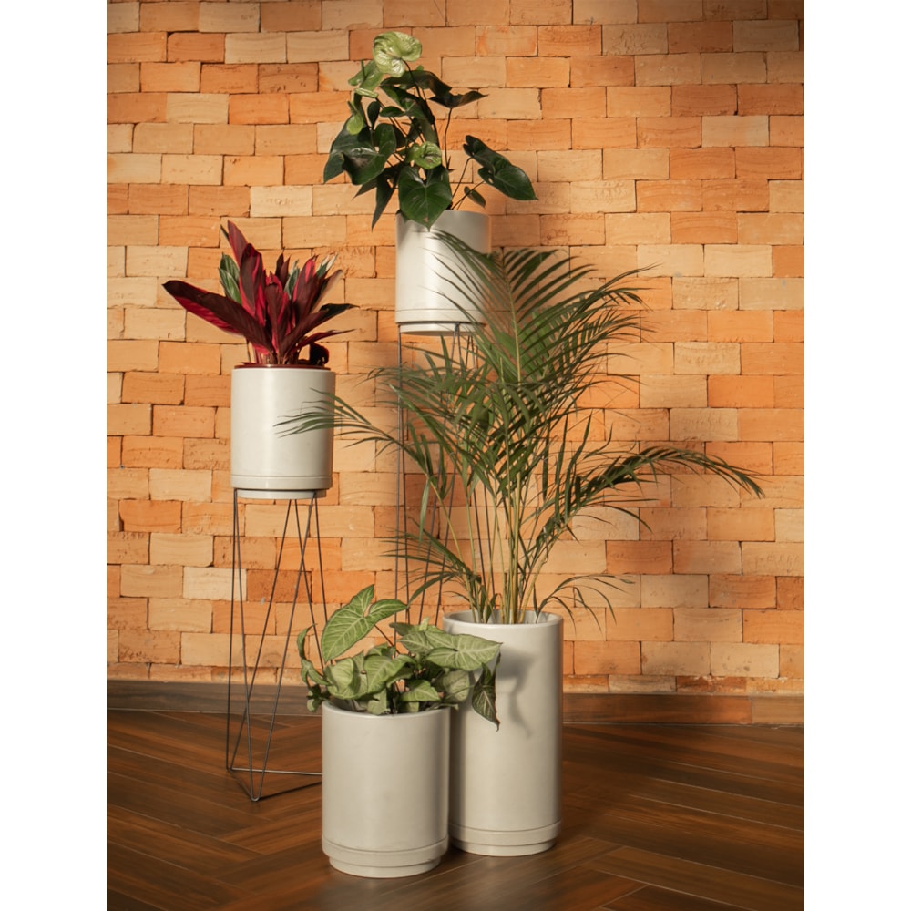 Produto imagem principal - afc10886-cfb8-45ca-a6b6-6c52bdb1d331