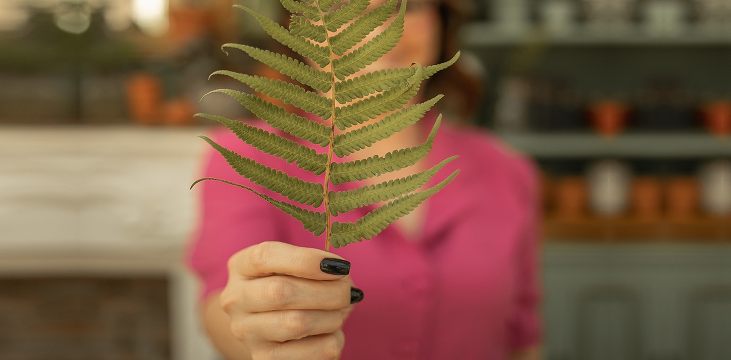 Banner Vasart - fale com um especialista e receba indicação do vaso ideal para seu ambiente