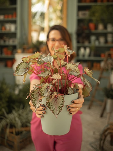 Banner mobile Vasart - fale com um especialista e encontre o vaso certo para seu espaço