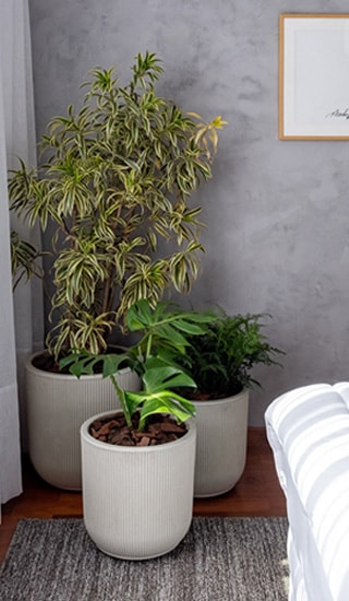 Coleção Vasart para quarto - decoração com plantas e vasos