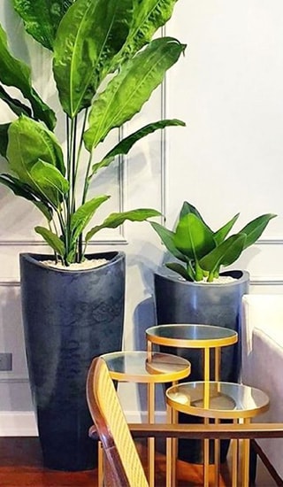 Coleção Vasart para sala - decoração com plantas e vasos