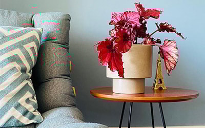 Vasos de mesa Vasart - a natureza pertinho de você