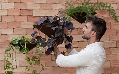 Vasos de pendurar Vasart - ideais para qualquer ambiente